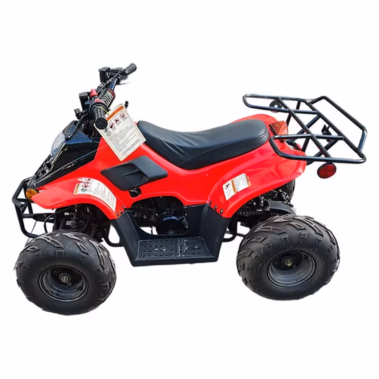 Quad automatique d'entraînement par chaîne de ventes chaudes 110cc ATV pour les enfants